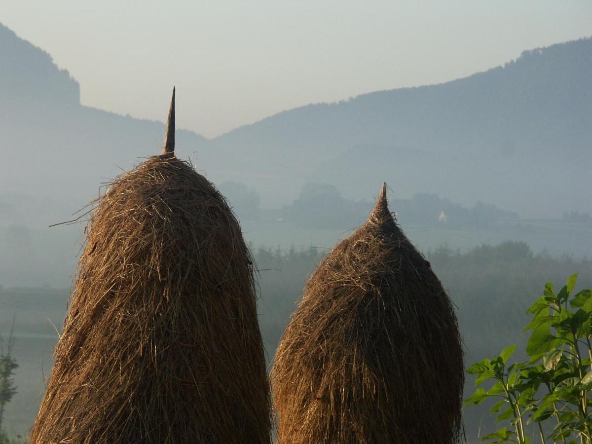 Farm stay Almenlandhof *